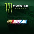 2017 NASCAR Monster Energy Cup Series