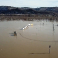 PRP Flooding - Ohio River 2018