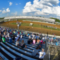 The Dirt Track at Indianapolis