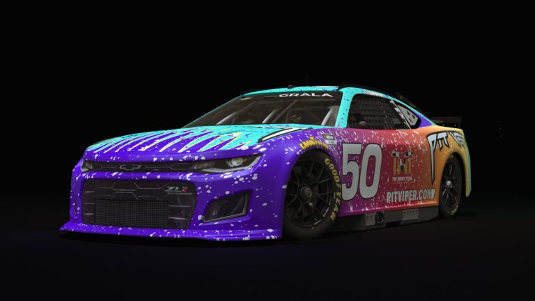 Money Team Racing - NASCAR paint scheme