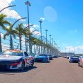 Palm Trees - Homestead-Miami Speedway - NASCAR Cup Series